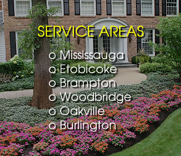 Lawn Care Service Areas