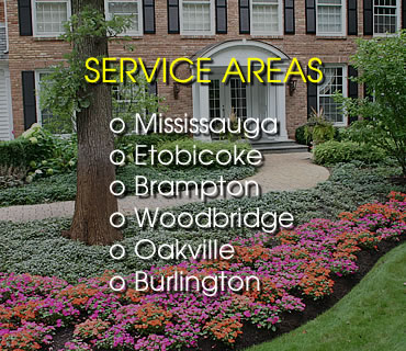 main-areas main-areas